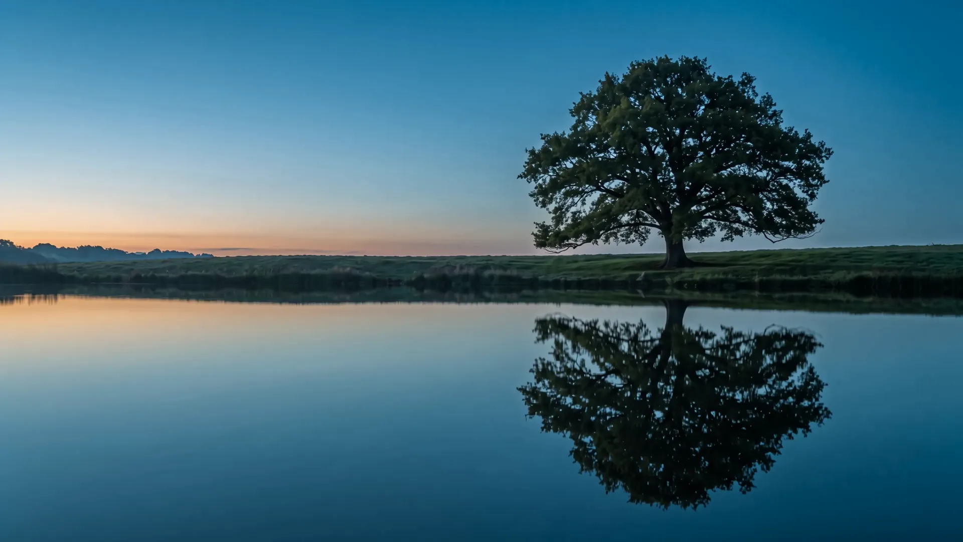 A broad oak alone on a grassy bank at first light, mirrored in a still lake